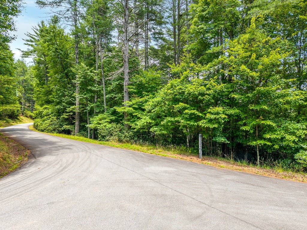 Lot 630 Nahunta Court, Ellijay GA 30540 - Photo