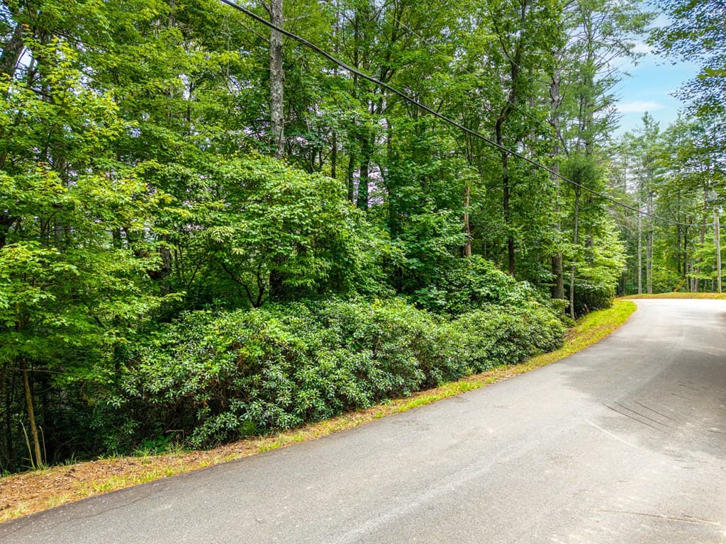 Lot 630 Nahunta Court, Ellijay GA 30540 - Photo