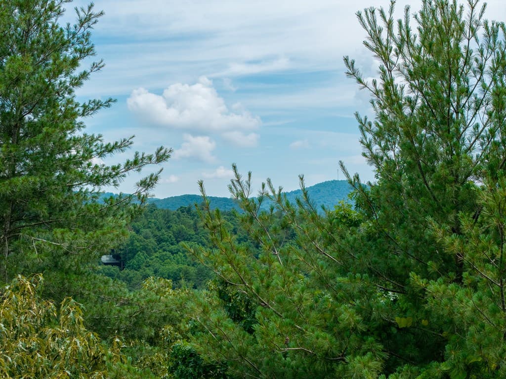 Lot 630 Nahunta Court, Ellijay GA 30540 - Photo