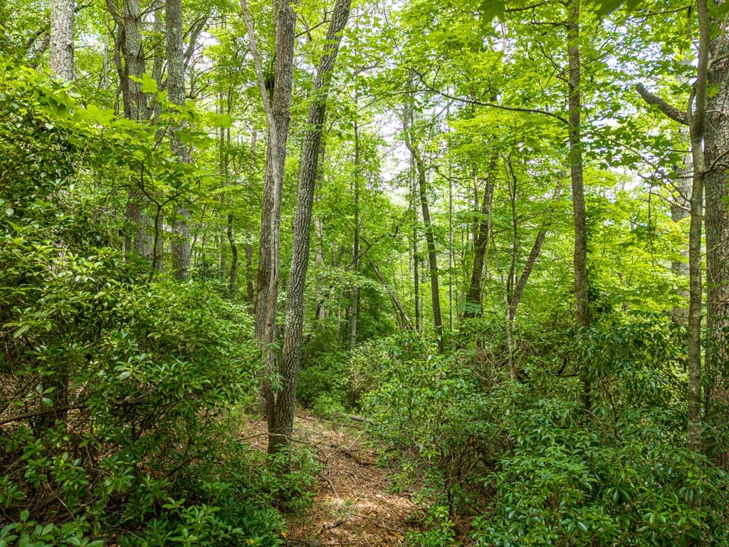 Lot 630 Nahunta Court, Ellijay GA 30540 - Photo