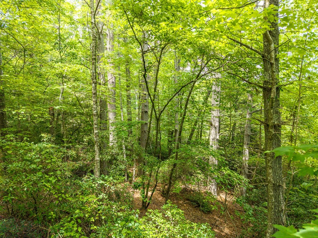 Lot 630 Nahunta Court, Ellijay GA 30540 - Photo