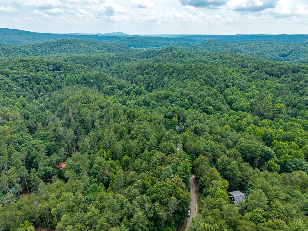 Lot 630 Nahunta Court, Ellijay GA 30540 - Photo