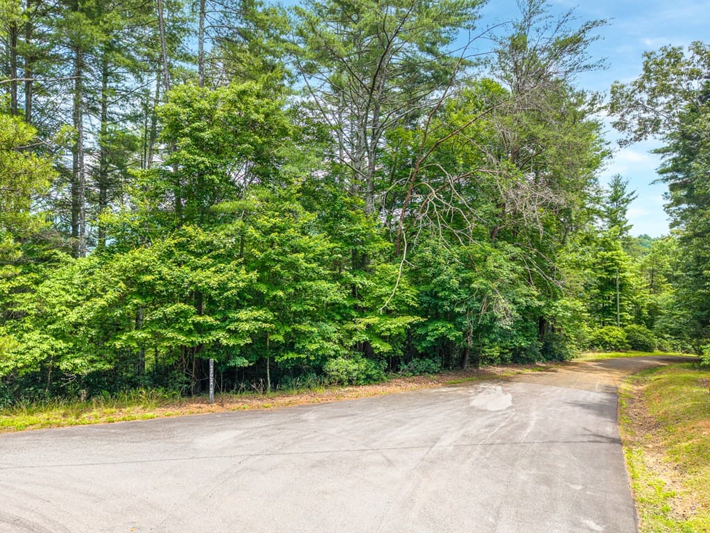 Lot 630 Nahunta Court, Ellijay GA 30540 - Photo
