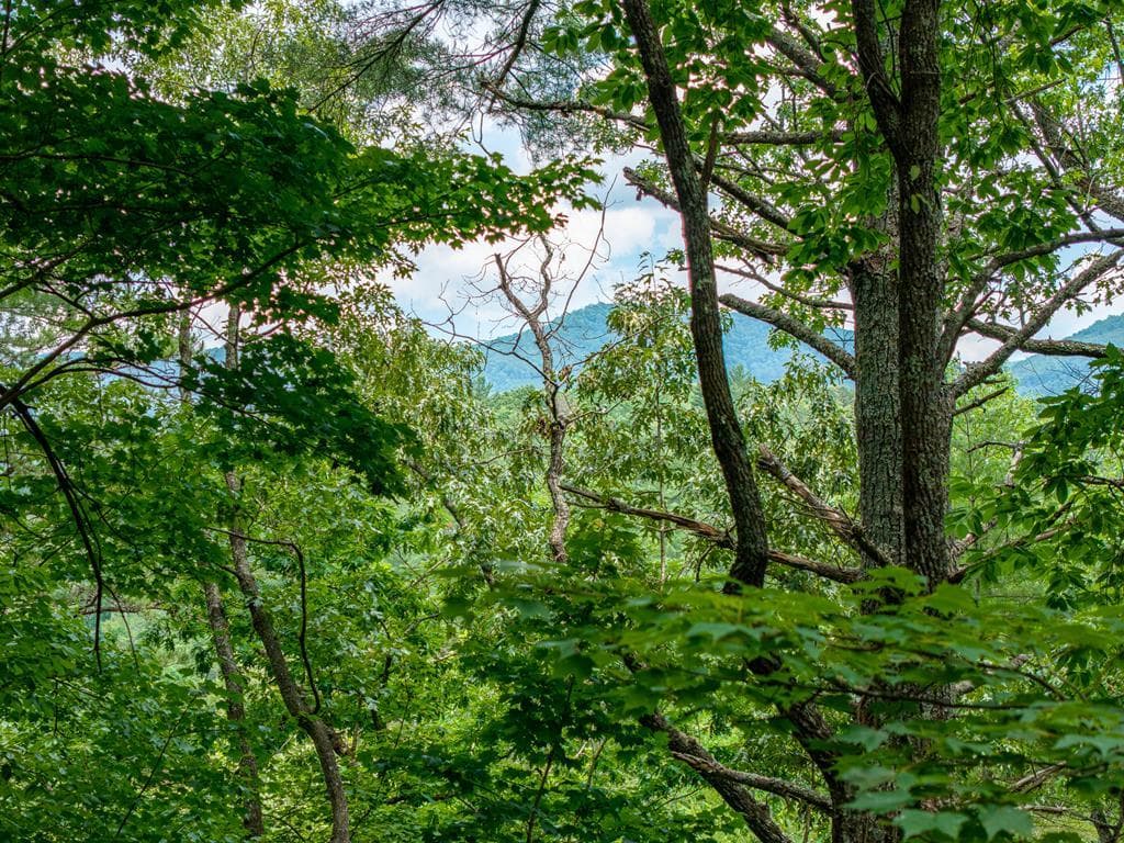 Lot 630 Nahunta Court, Ellijay GA 30540 - Photo