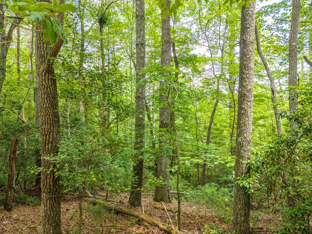 Lot 630 Nahunta Court, Ellijay GA 30540 - Photo