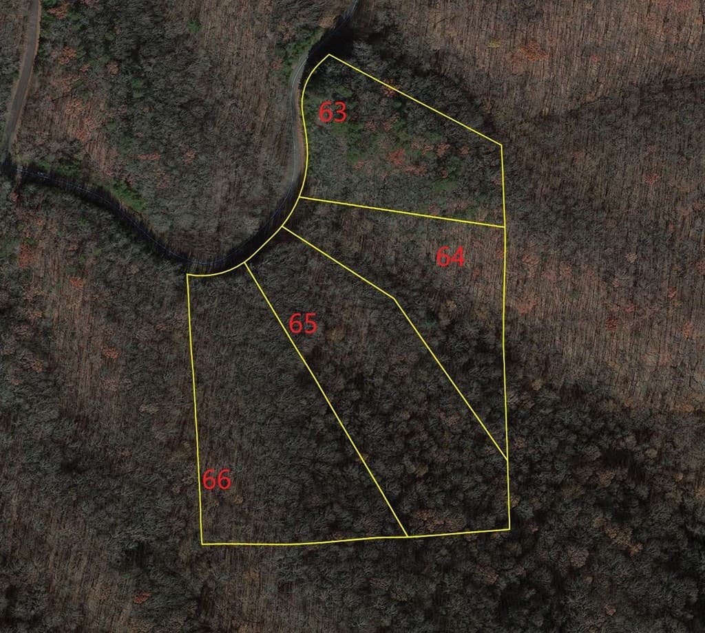65 St Andrews Way, Ellijay GA 30536 - Photo