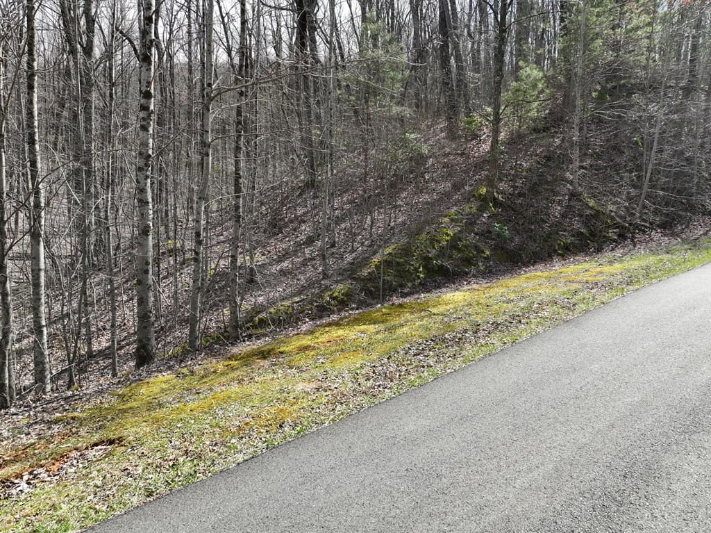 65 St Andrews Way, Ellijay GA 30536 - Photo
