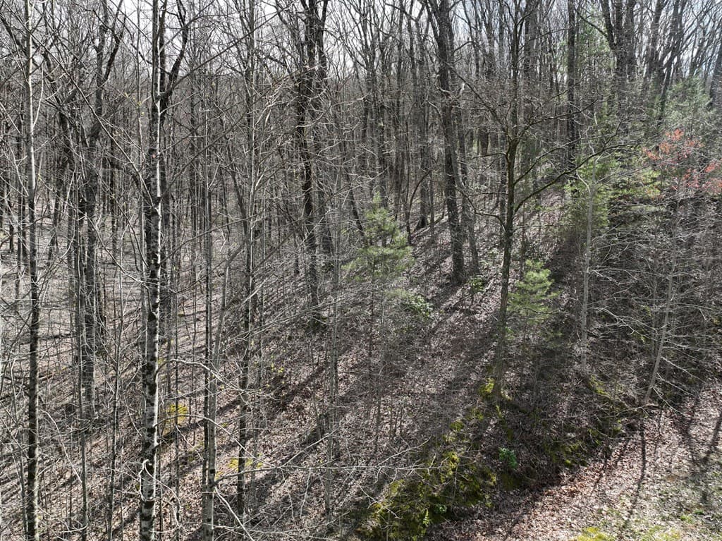 65 St Andrews Way, Ellijay GA 30536 - Photo