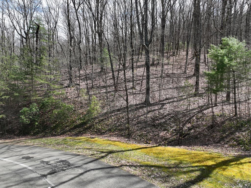 66 St Andrews Way, Ellijay GA 30536 - Photo