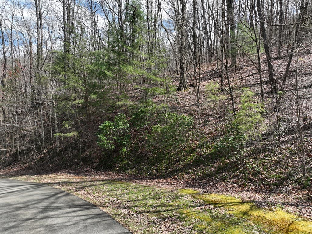 66 St Andrews Way, Ellijay GA 30536 - Photo