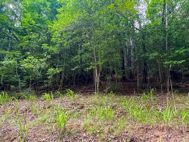 LT 9 Timberline Road, Murphy NC 28906 - Primary photo