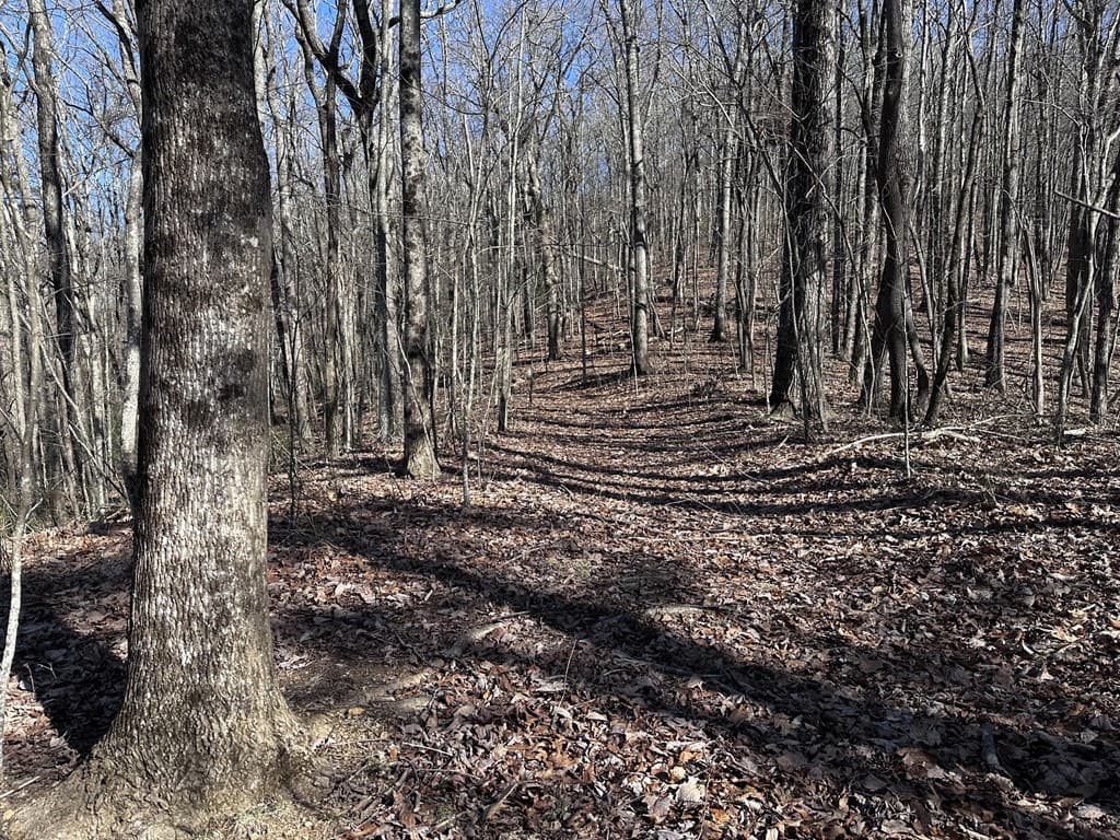 57 St Andrews Way, Ellijay GA 30536 - Photo