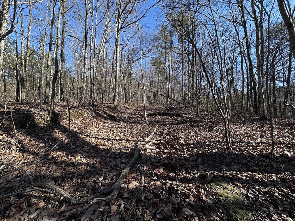 57 St Andrews Way, Ellijay GA 30536 - Photo