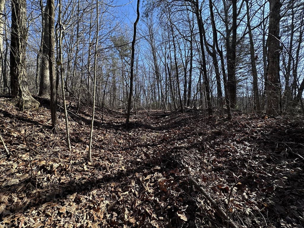 57 St Andrews Way, Ellijay GA 30536 - Photo