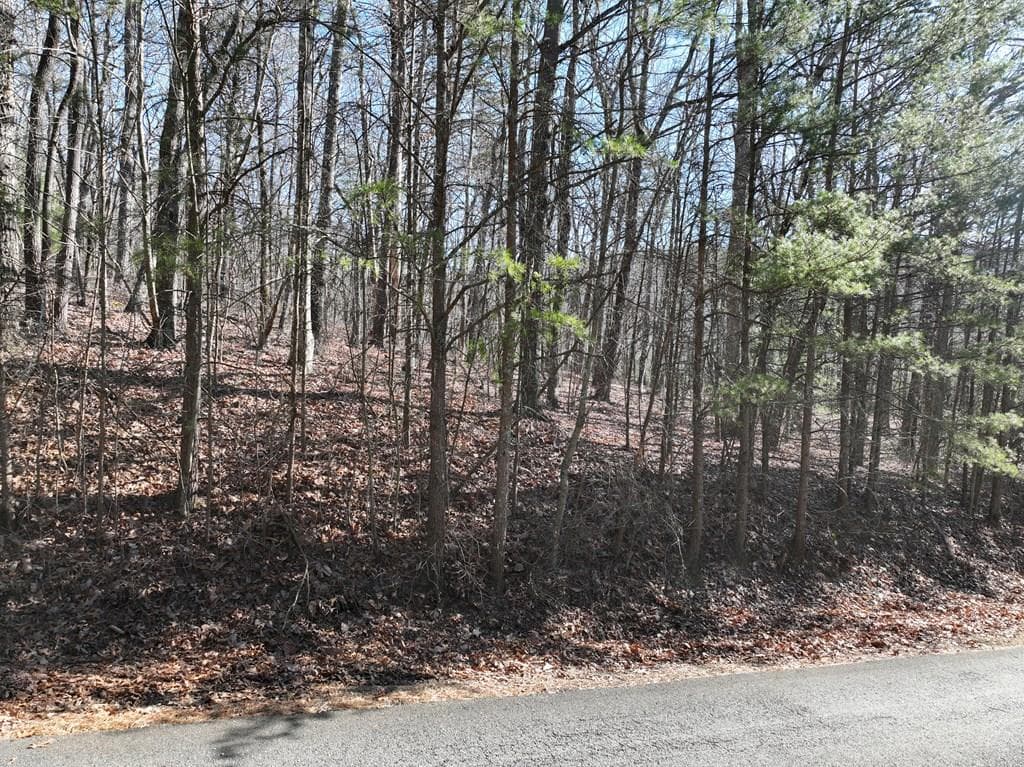 57 St Andrews Way, Ellijay GA 30536 - Primary photo