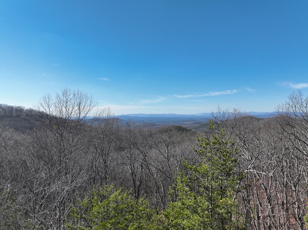 57 St Andrews Way, Ellijay GA 30536 - Photo