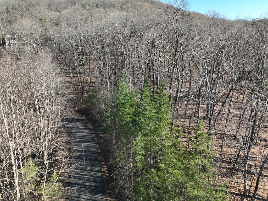 57 St Andrews Way, Ellijay GA 30536 - Photo