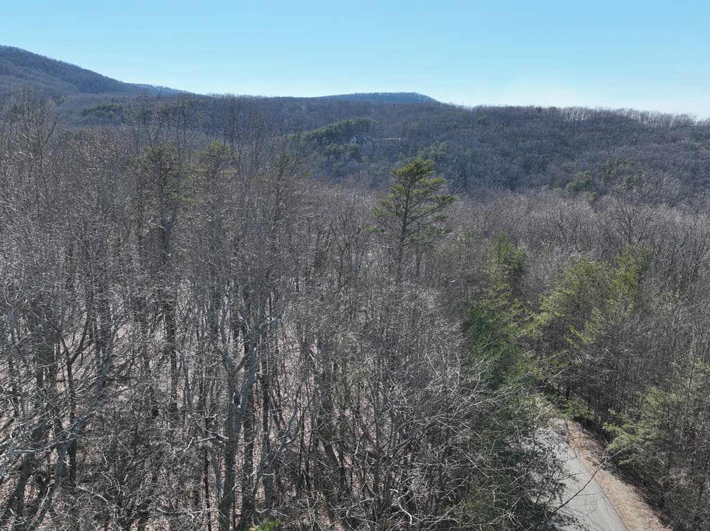 57 St Andrews Way, Ellijay GA 30536 - Photo