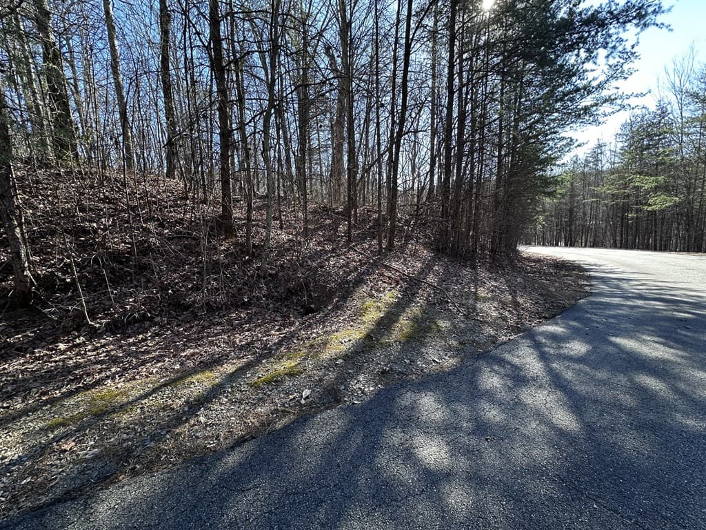 57 St Andrews Way, Ellijay GA 30536 - Photo