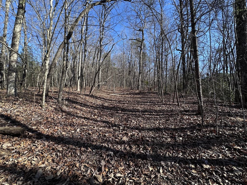 57 St Andrews Way, Ellijay GA 30536 - Photo