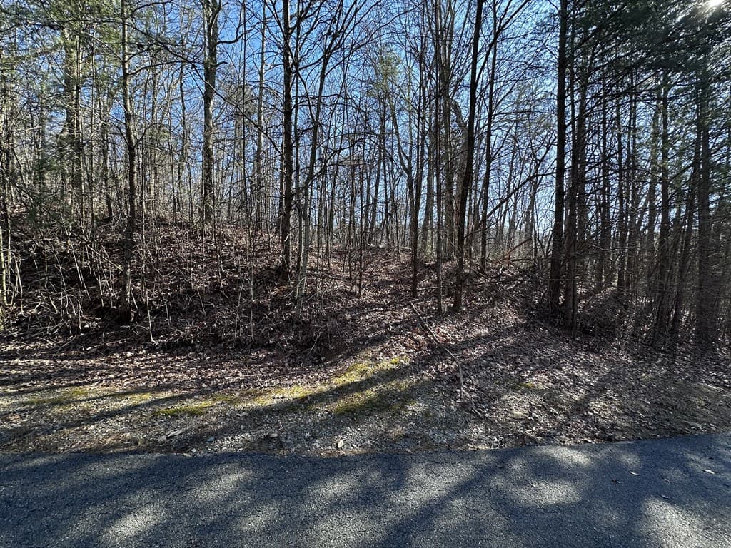 57 St Andrews Way, Ellijay GA 30536 - Photo