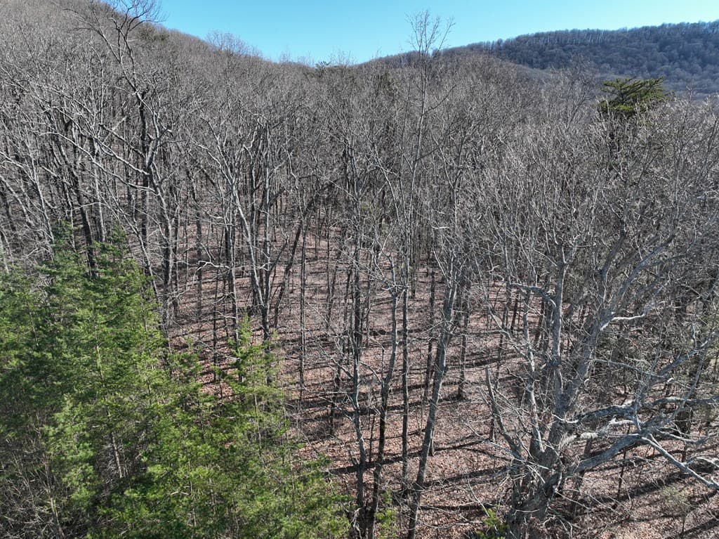 57 St Andrews Way, Ellijay GA 30536 - Photo