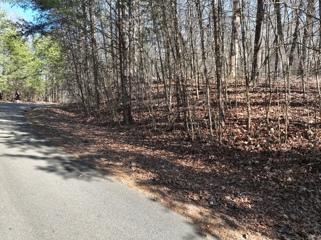 57 St Andrews Way, Ellijay GA 30536 - Photo