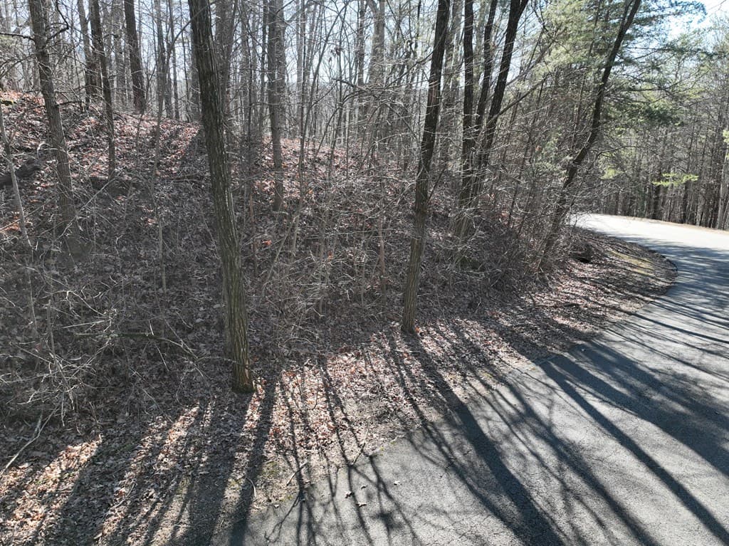 57 St Andrews Way, Ellijay GA 30536 - Photo
