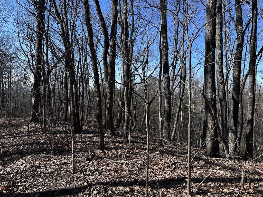 57 St Andrews Way, Ellijay GA 30536 - Photo
