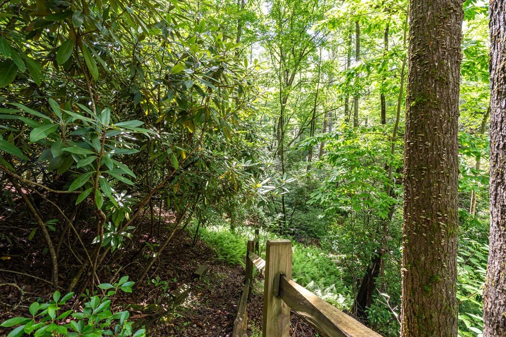 211 Red Oak Forest Lane, Murphy NC 28906 - Photo