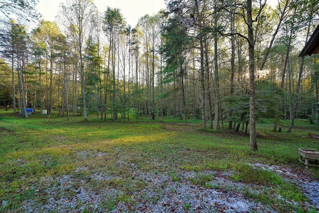 1841 Old Bucktown Road, Ellijay GA 30536 - Photo