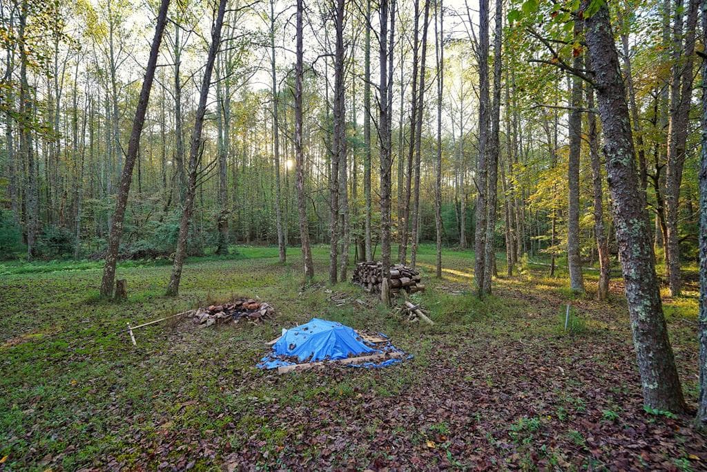 1841 Old Bucktown Road, Ellijay GA 30536 - Photo