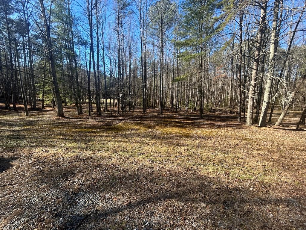 1841 Old Bucktown Road, Ellijay GA 30536 - Photo
