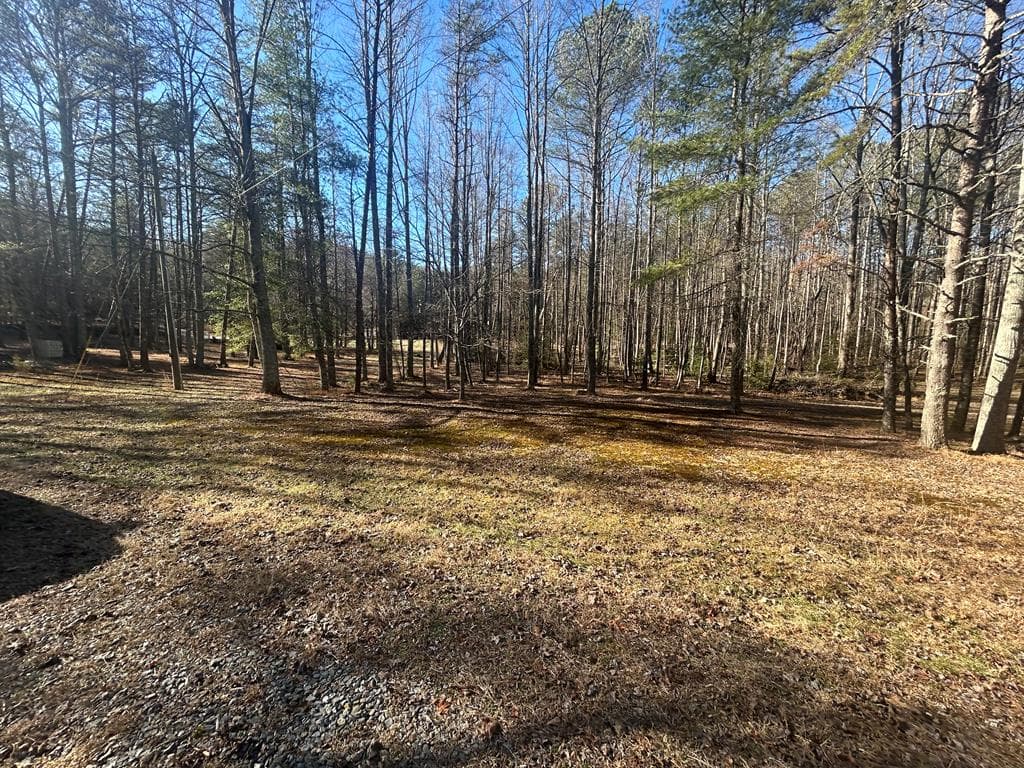 1841 Old Bucktown Road, Ellijay GA 30536 - Photo
