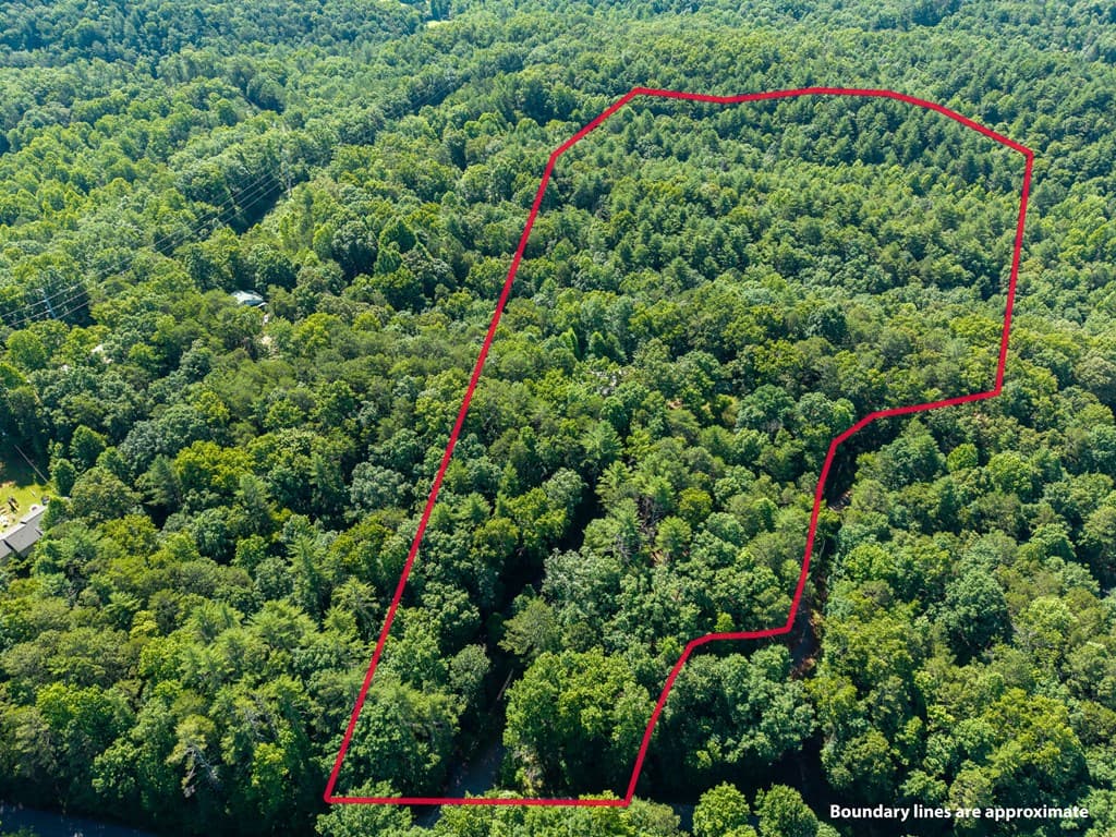 955 Lower Tails Creek Road, Ellijay GA 30540 - Photo