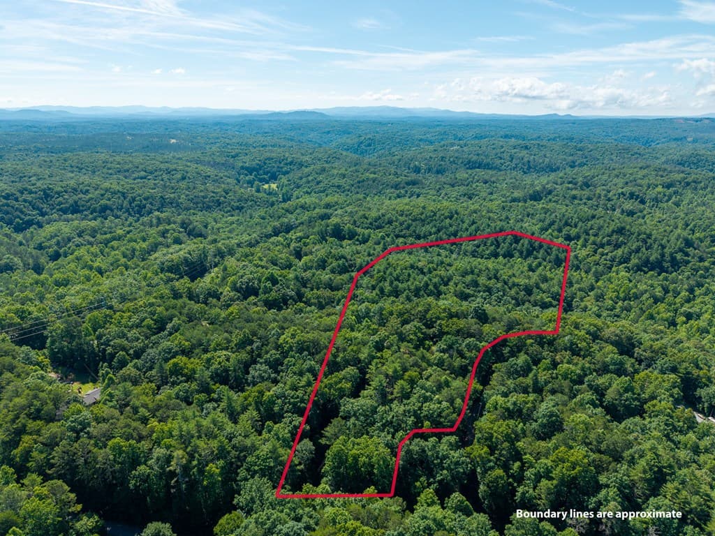 955 Lower Tails Creek Road, Ellijay GA 30540 - Photo