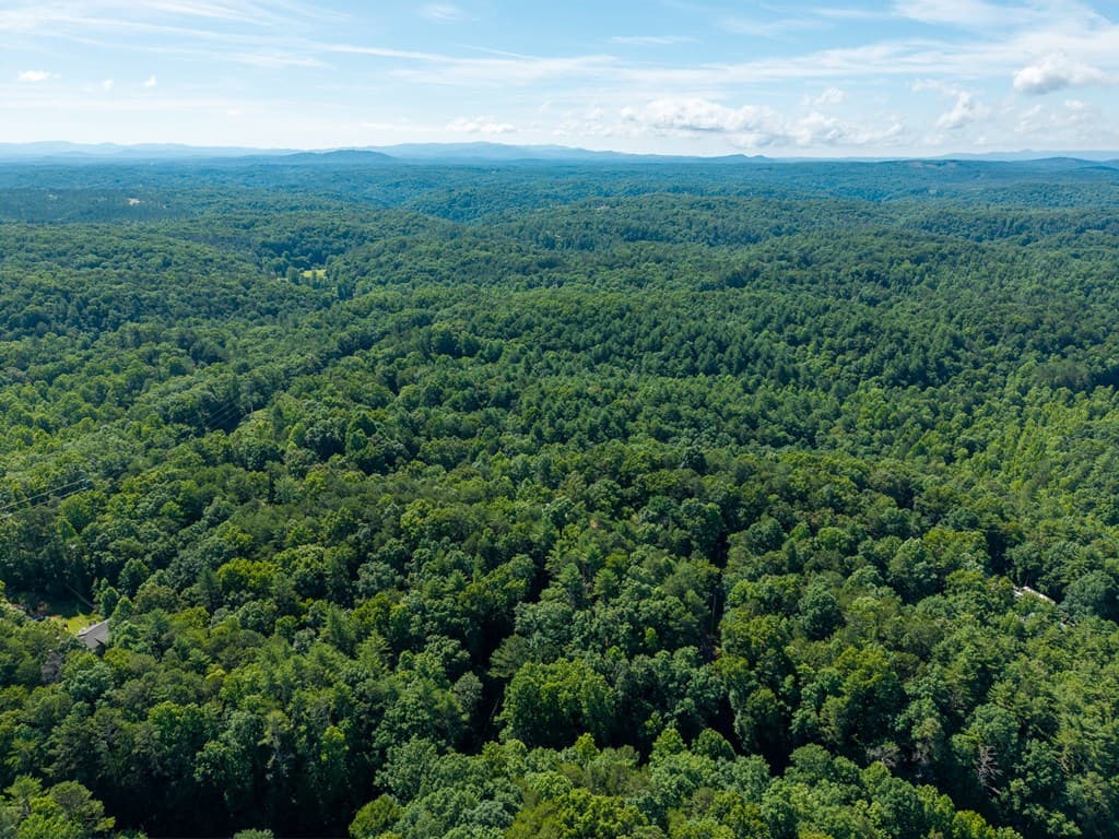 955 Lower Tails Creek Road, Ellijay GA 30540 - Photo