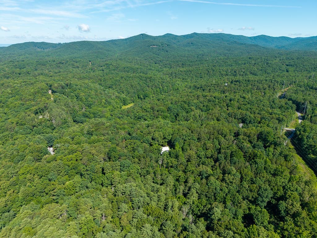 955 Lower Tails Creek Road, Ellijay GA 30540 - Photo