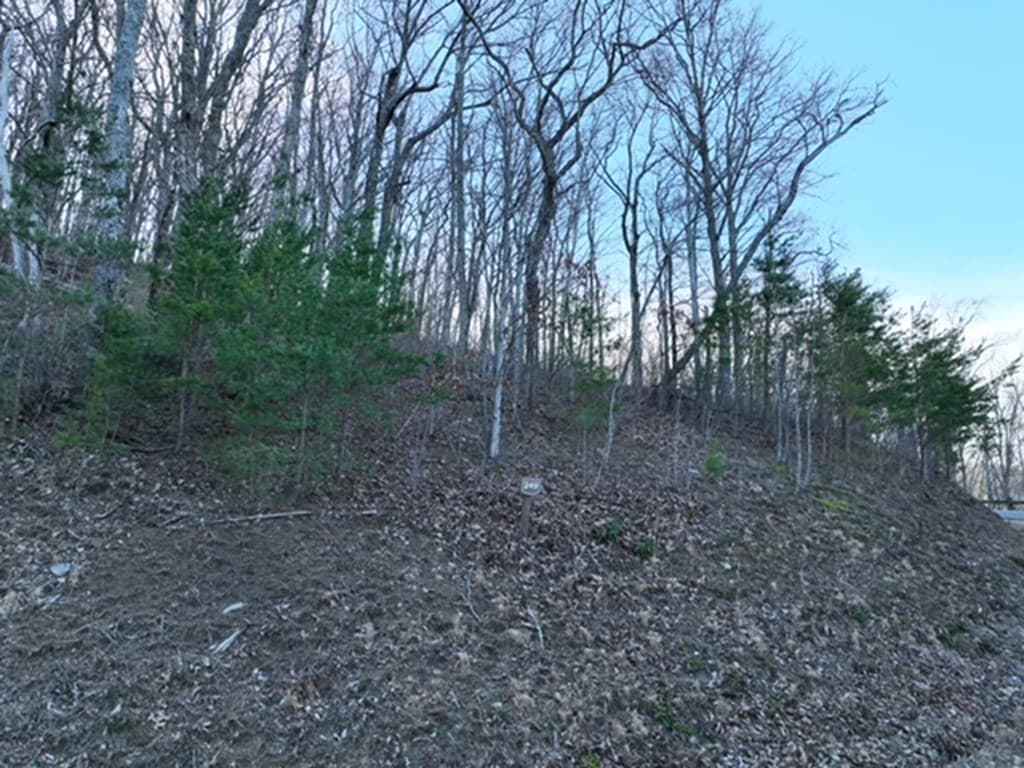 249 Andes Ridge, Ellijay GA 30536 - Photo