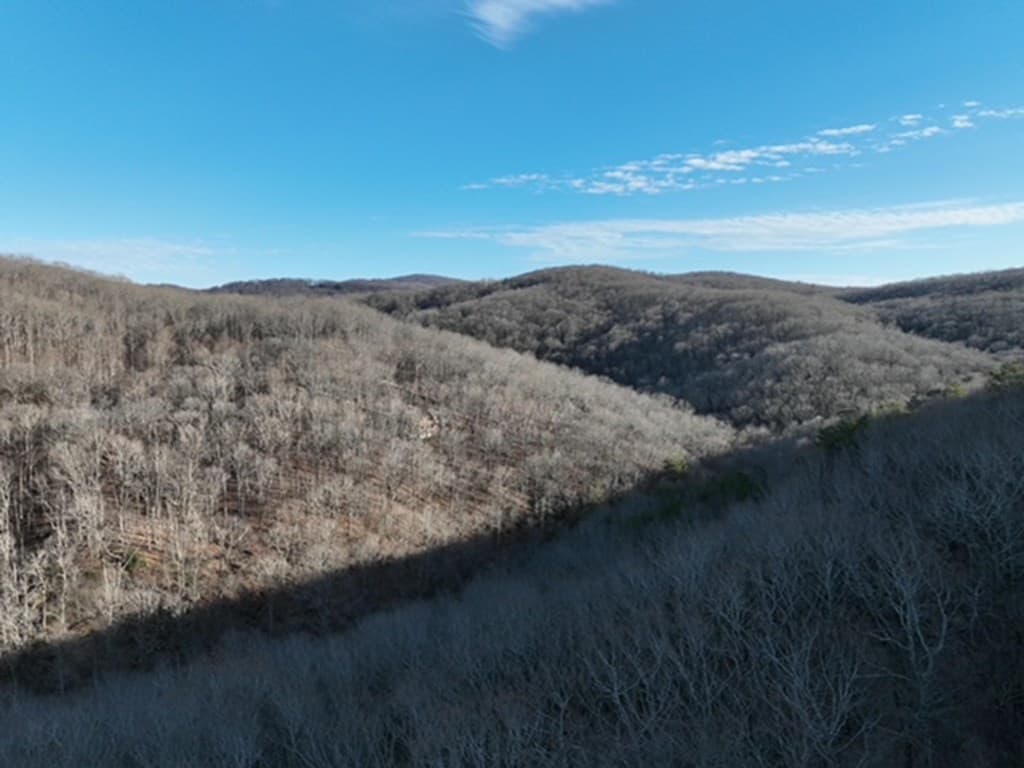 249 Andes Ridge, Ellijay GA 30536 - Photo