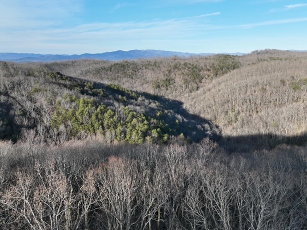 249 Andes Ridge, Ellijay GA 30536 - Photo