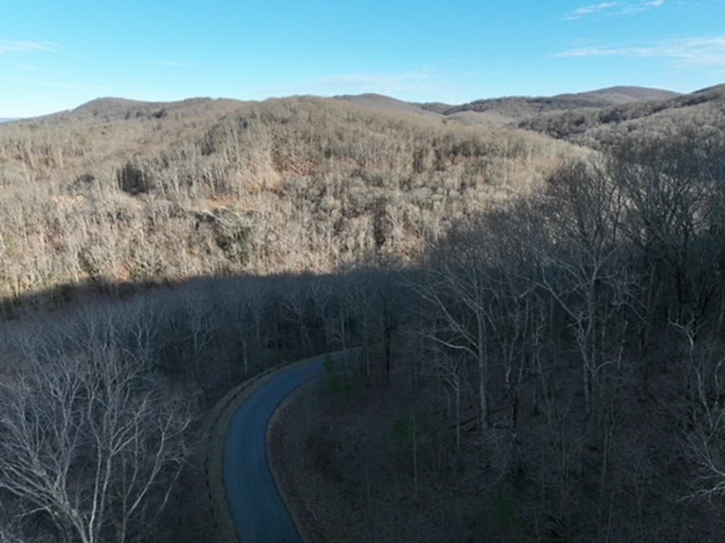249 Andes Ridge, Ellijay GA 30536 - Photo