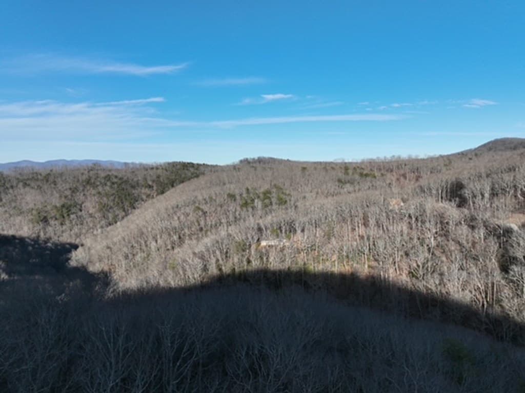 249 Andes Ridge, Ellijay GA 30536 - Photo