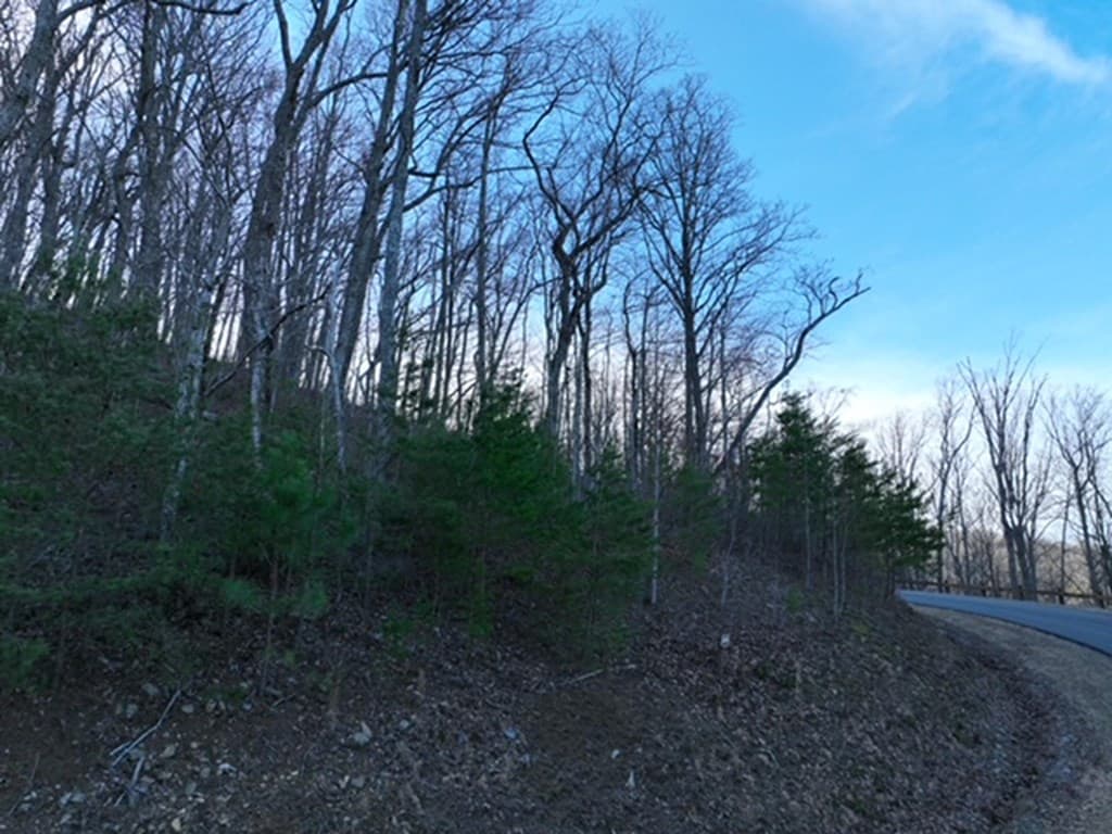 249 Andes Ridge, Ellijay GA 30536 - Photo