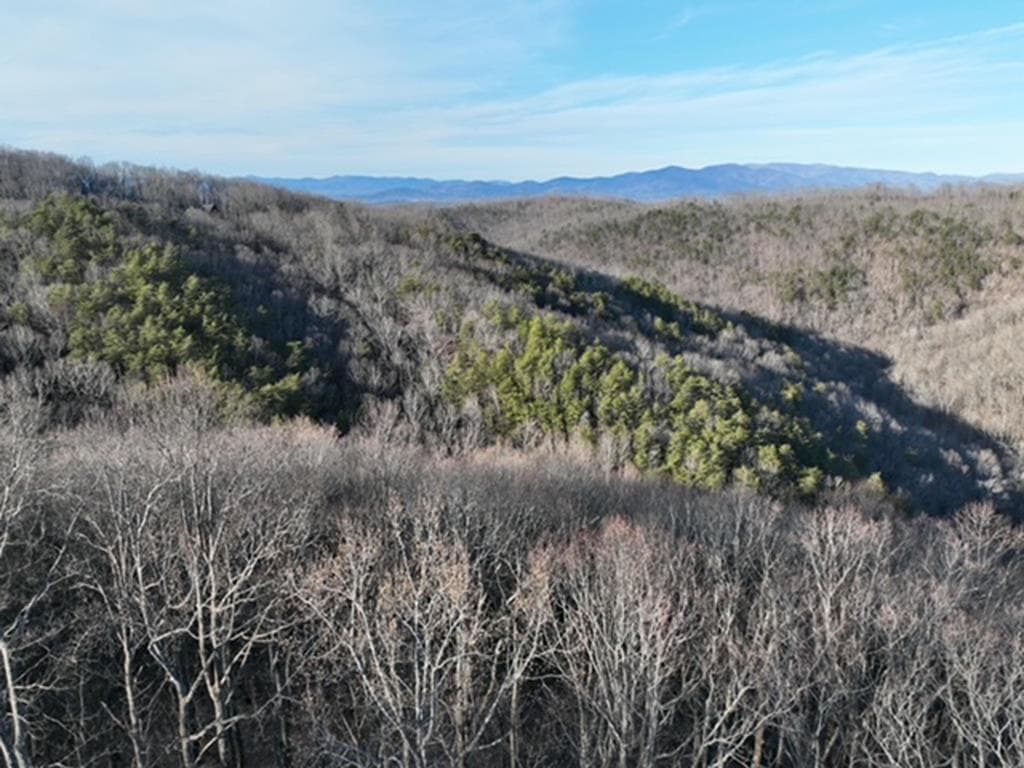 249 Andes Ridge, Ellijay GA 30536 - Primary photo