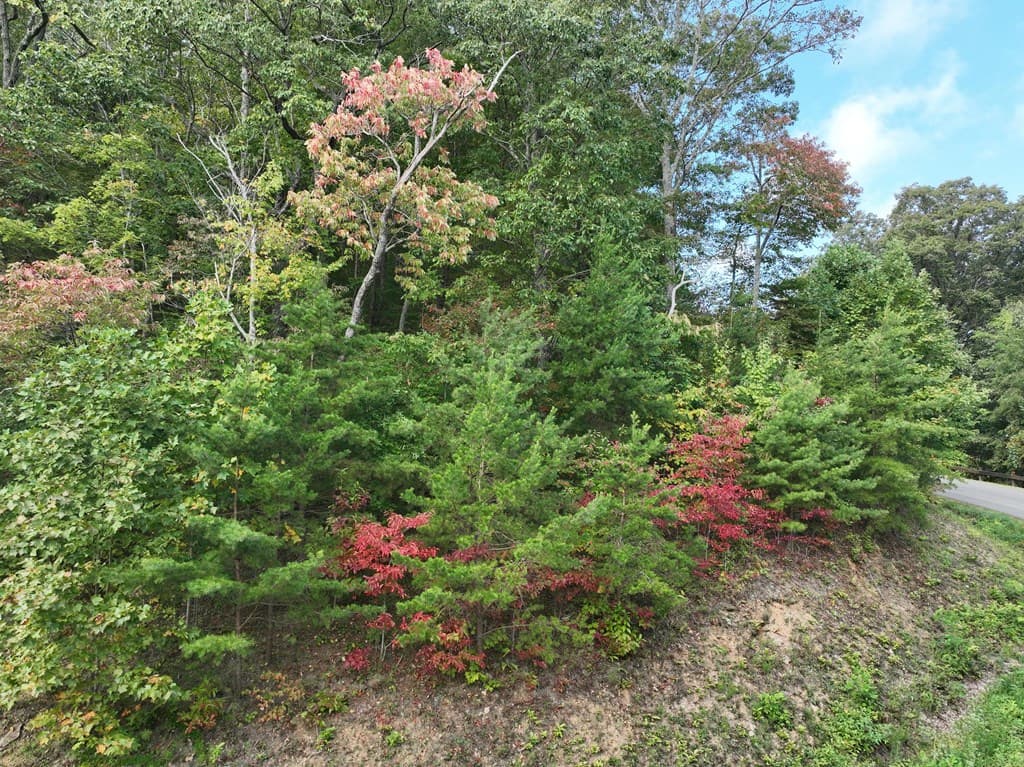249 Andes Ridge, Ellijay GA 30536 - Photo