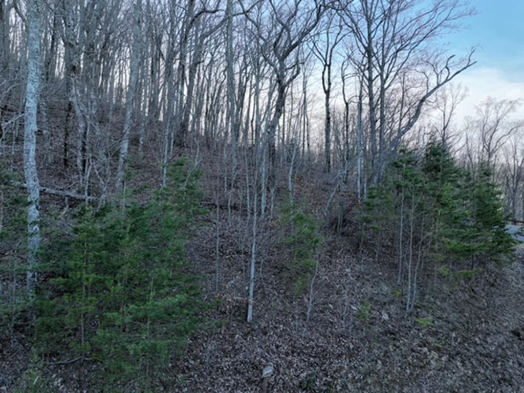 249 Andes Ridge, Ellijay GA 30536 - Photo