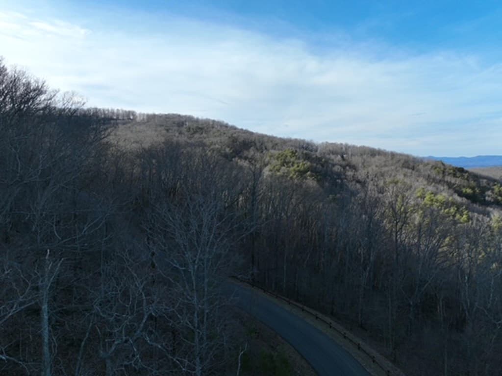 249 Andes Ridge, Ellijay GA 30536 - Photo