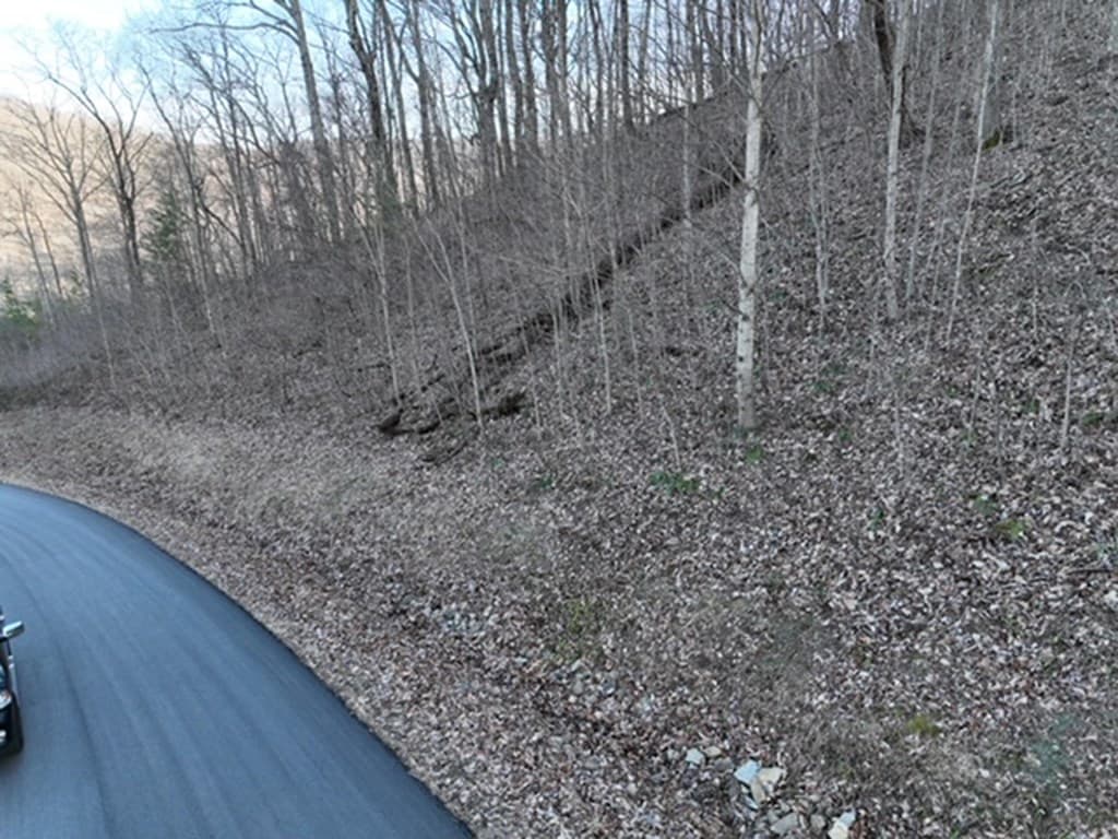 249 Andes Ridge, Ellijay GA 30536 - Photo