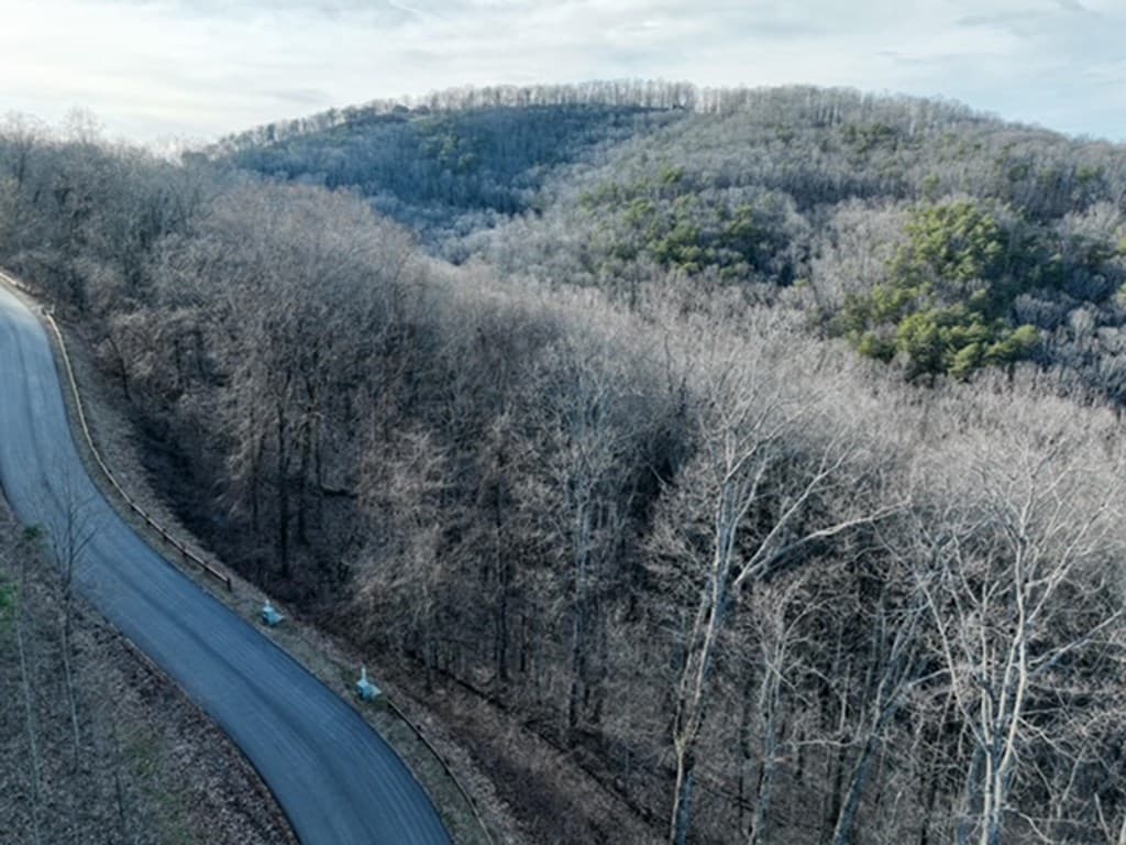 249 Andes Ridge, Ellijay GA 30536 - Photo